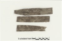 藏品(尖葉薄鱗蘚)的圖片